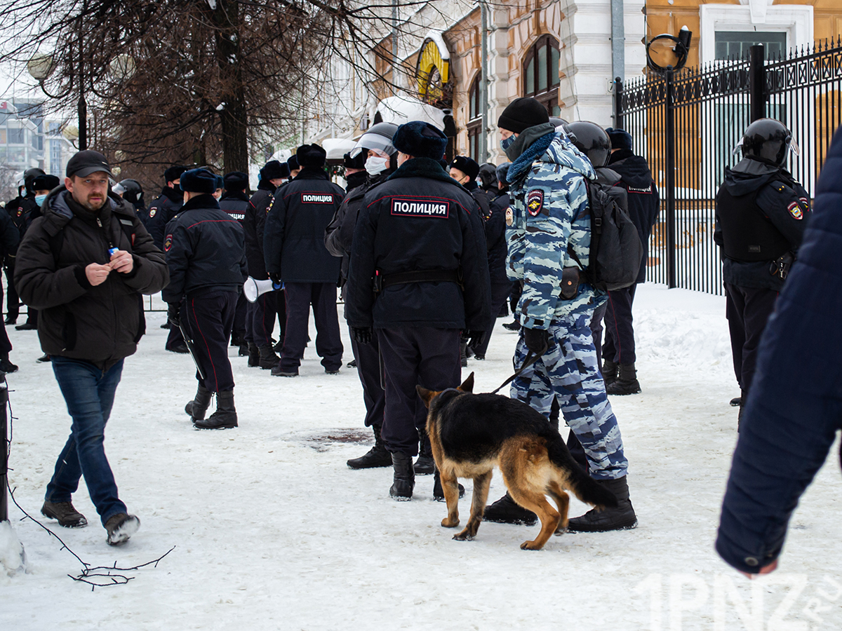 24 января 2021. Митинг Навального в Пензе. Пикет в Пензе Навальный 2018. Митинг поинт Пенза. Пенза протесты.