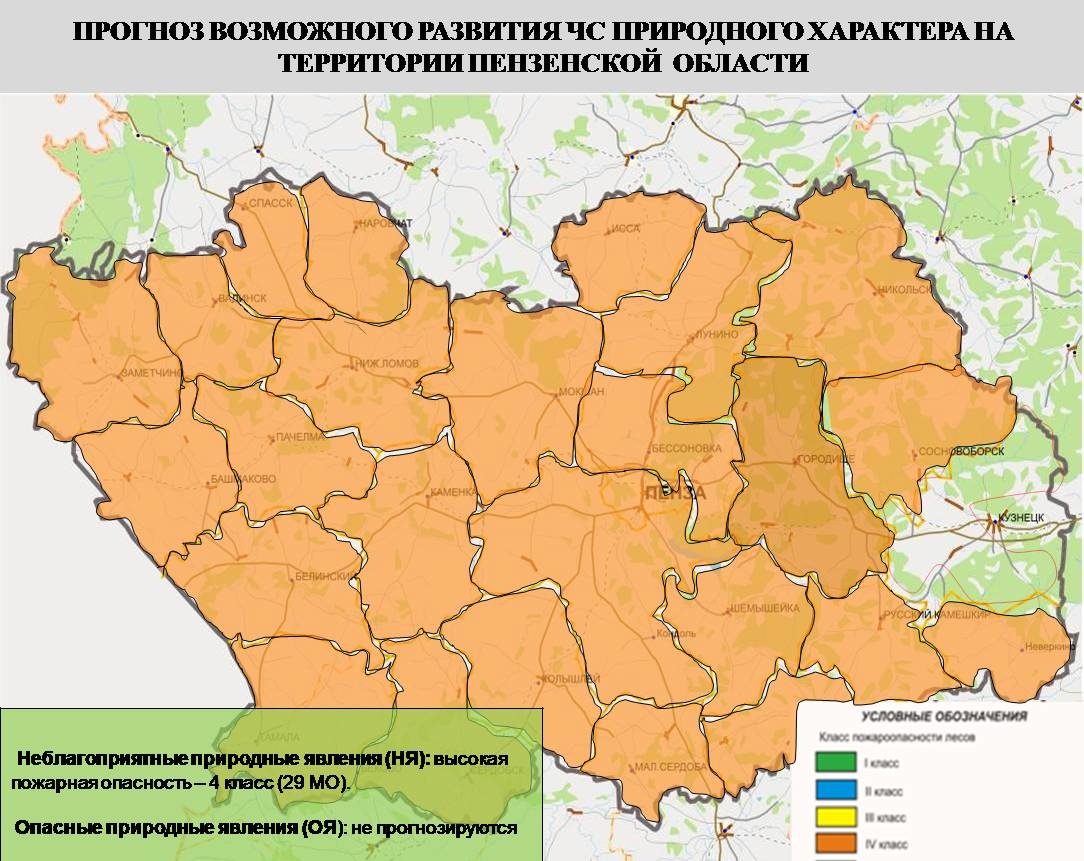 Карта лесов пензенской области