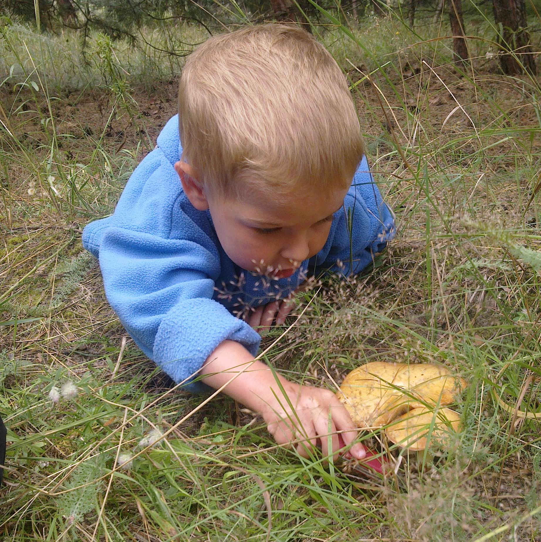 Мальчик с грибами