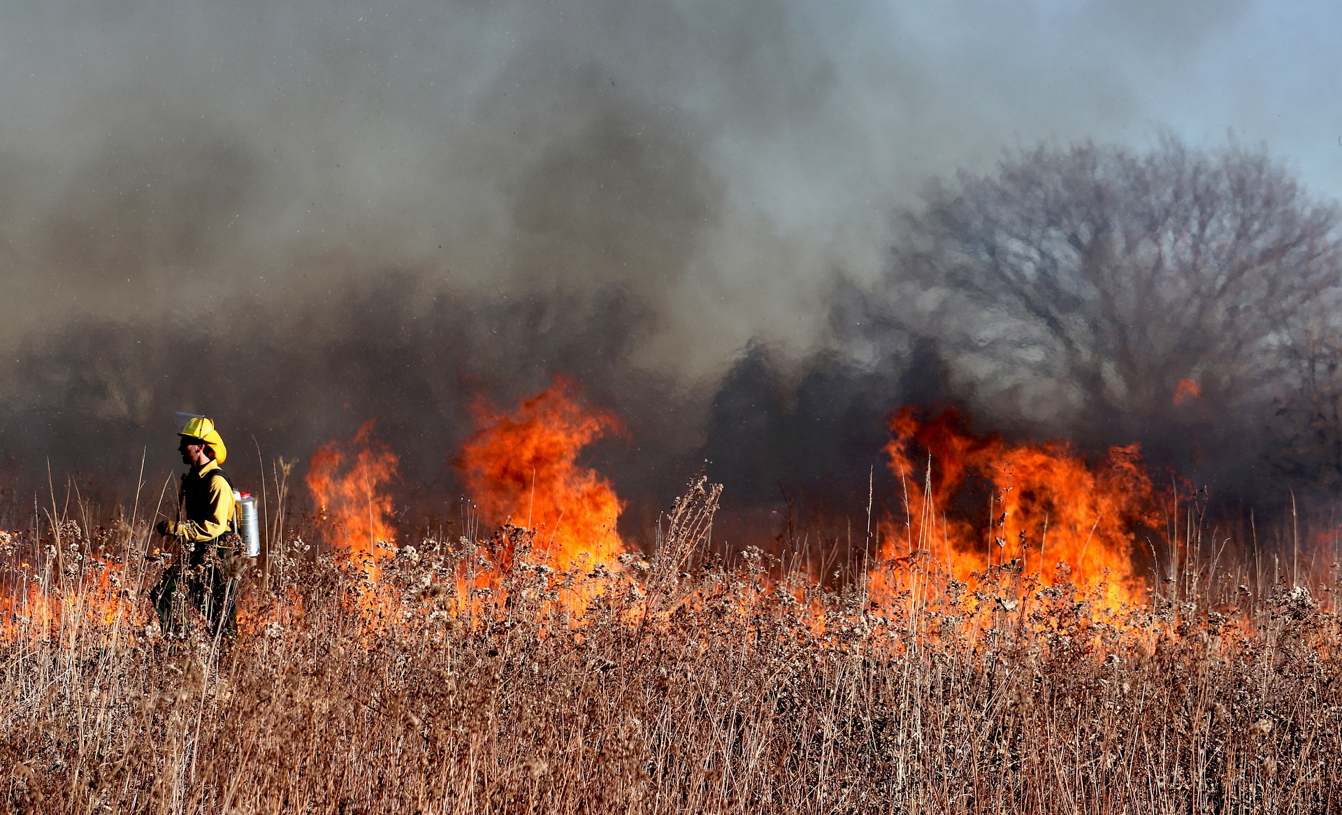 Сильные пожары в россии. Травяной пожар. Лесные пожары. Пожар травы. Пожар фото.