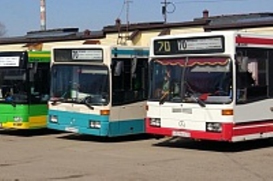 Дачный автобус. Автобус дачный - Теньгушево. Автобус 19. Краснокаменск дачный автобус. Когда пустят дачные автобусы в 2024 году