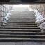 22012504.jpg