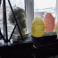 12022505.jpg