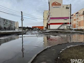 «Венеция» в Пензе: жители Шуиста плавают по району на лодке
