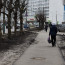 18032526.jpg