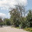 08072522.jpg