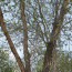 08072531.jpg
