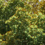 08072507.jpg