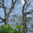 08072535.jpg