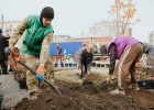 Шулькин с лопатой и новая ель Соболева. Фоторепортаж с общегородского субботника в Пензе