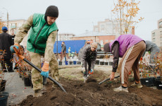 Шулькин с лопатой и новая ель Соболева. Фоторепортаж с общегородского субботника в Пензе