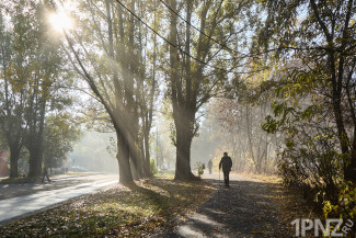 Пенза в тумане: гуляем по городу в условиях нулевой видимости – фоторепортаж 1pnz