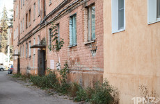 Дом чудес на проспекте Победы: крысы, плесень и равнодушие управляющей компании Дом чудес на проспекте Победы: крысы, плесень и равнодушие управляющей компании