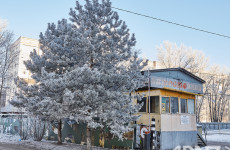 Волшебство зимней Пензы. Как преобразился город в первый день зимы – фоторепортаж