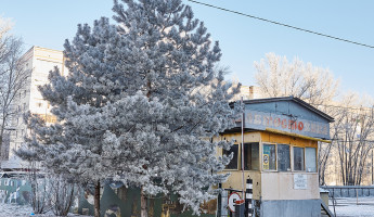 Волшебство зимней Пензы. Как преобразился город в первый день зимы – фоторепортаж