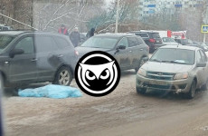 Пензенцы сообщают о трупе, лежащем на дороге в Тепличном