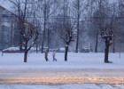 Гололедица и снег с дождем ожидаются в Пензенской области 28 ноября