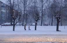 Гололедица и снег с дождем ожидаются в Пензенской области 28 ноября