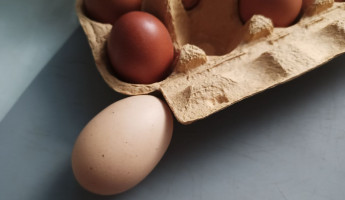 В Пензенской области взлетели цены на куриные яйца