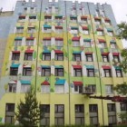 Огромное граффити жителя Пензы попало в Книгу рекордов России