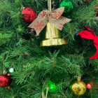 В Пензенской области молодая женщина осталась без денег, мечтая о новогодней елке