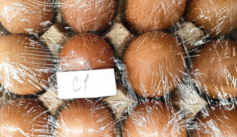 Куриные яйца по цене золотых. Редакция 1pnz проверила цены на яйца в Пензе