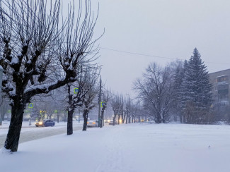 Пензенцев предупреждают об аномальном холоде 7 декабря