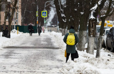 Из-за аномального холода в Пензенской области ввели режим повышенной готовности
