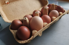 Возмущенным пензенцам ответили, почему растут цены на куриные яйца