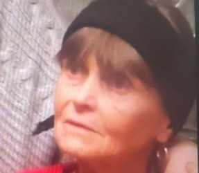 В Пензе разыскивают пожилую женщину с черной сумкой