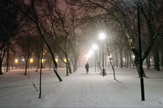 Пензенцев предупреждают о снегопаде, метели и сильном ветре 15 декабря