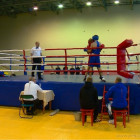 В Пензе подвели итоги городских соревнований по боксу