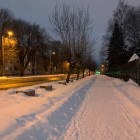 Какая погода ожидается в Пензенской области 21 декабря?
