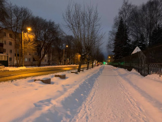 Какая погода ожидается в Пензенской области 21 декабря?