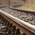 В поезде, проезжавшем Пензенскую область, умерла 12-летняя девочка
