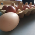 По росту цен на яйца Пензенская область оказалась на втором месте в стране