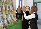Молния! Успейте купить квартиру со ставкой от 5,4% годовых до повышения в несколько раз
