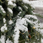 Какая погода ожидается в Пензенской области 29 декабря?