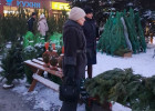 В Октябрьском районе Пензы проверили елочные базары