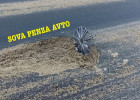 Водителей предупреждают об опасности, подстерегающей на трассе в Пензенской области