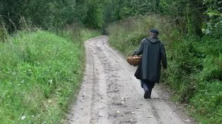Владимир Зорькин, пропавший в Пензенской области, найден мертвым