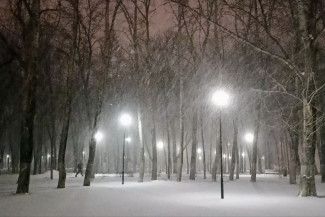 Мороз и сильный снегопад ожидаются в Пензенской области 3 января
