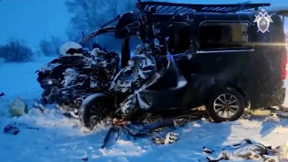 Обнародовано видео с места гибели восьми человек в Пензенской области