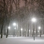 Ветер и снег с дождем ожидаются в Пензенской области 16 января