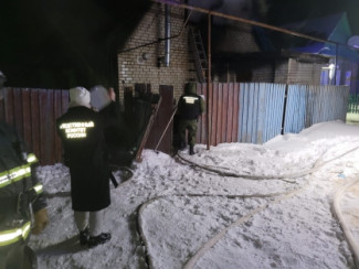 Обнародованы фото с места гибели трех человек при пожаре под Пензой