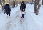 В центре Пензы провели противогололедную обработку улиц