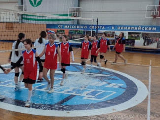 В Пензе подвели итоги городских соревнований по волейболу