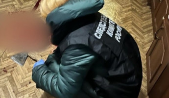 В Пензенской области мужчина топором избил мать из-за денег на алкоголь