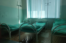 В Пензенской области еще 135 пациентов справились с коронавирусом