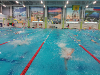 В Пензе подвели итоги соревнований по плаванию среди трудовых коллективов